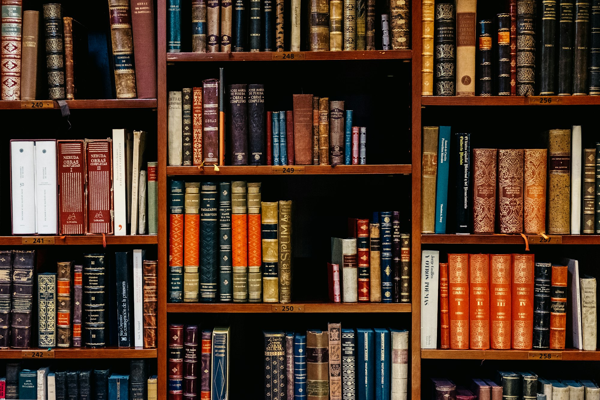 Membaca di Perpustakaan Modern